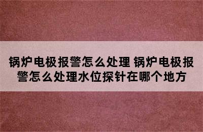 锅炉电极报警怎么处理 锅炉电极报警怎么处理水位探针在哪个地方